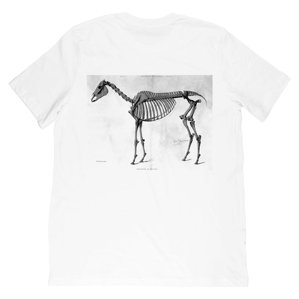 Abyss - Skeletal Tee