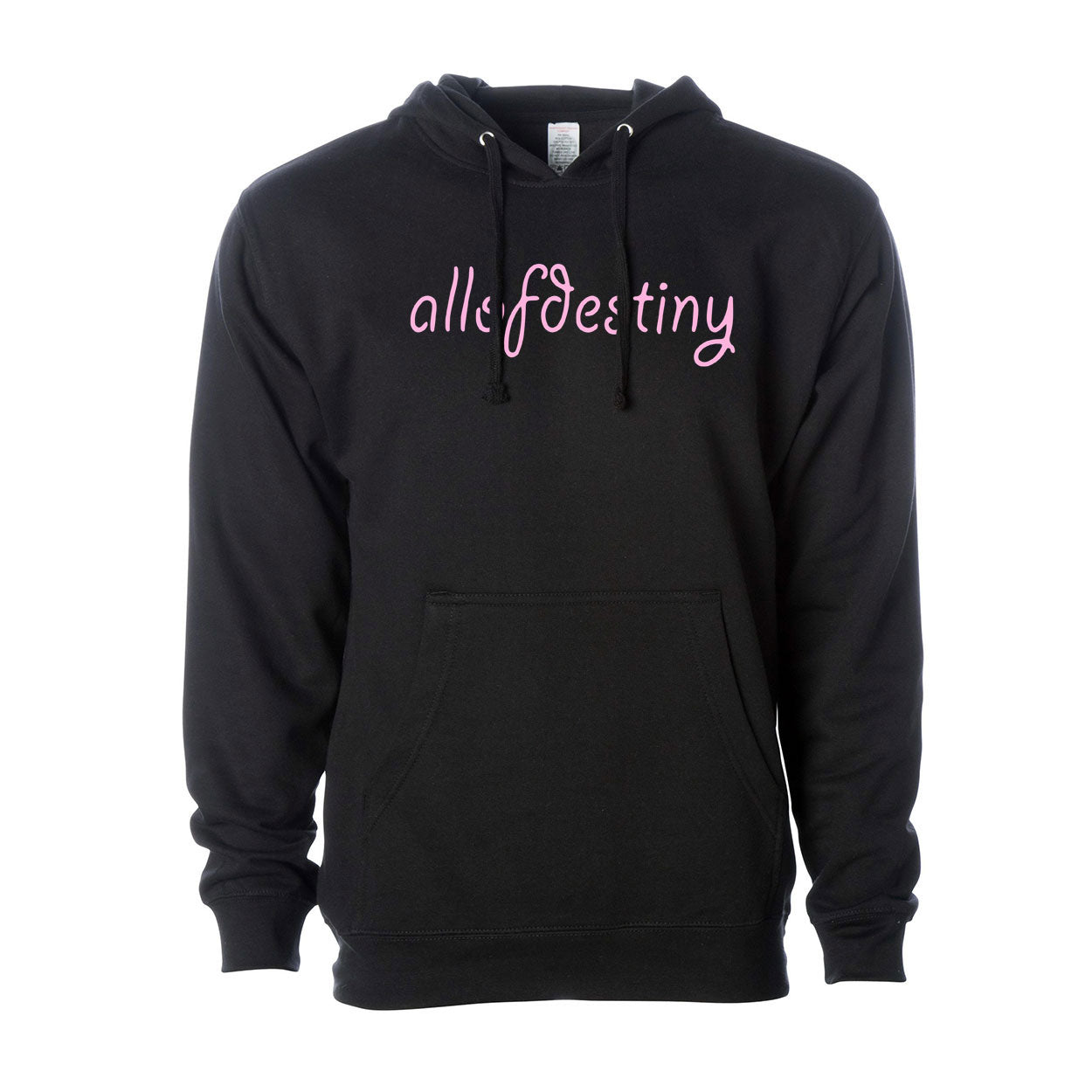 AllofDestiny - Disney Destiny Hoodie