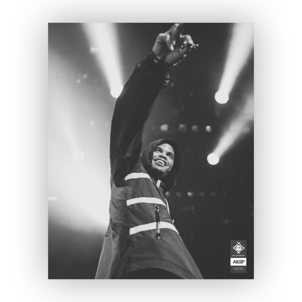 Xavier Wulf Poster 16" x 20"