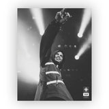 Xavier Wulf Poster 16" x 20"