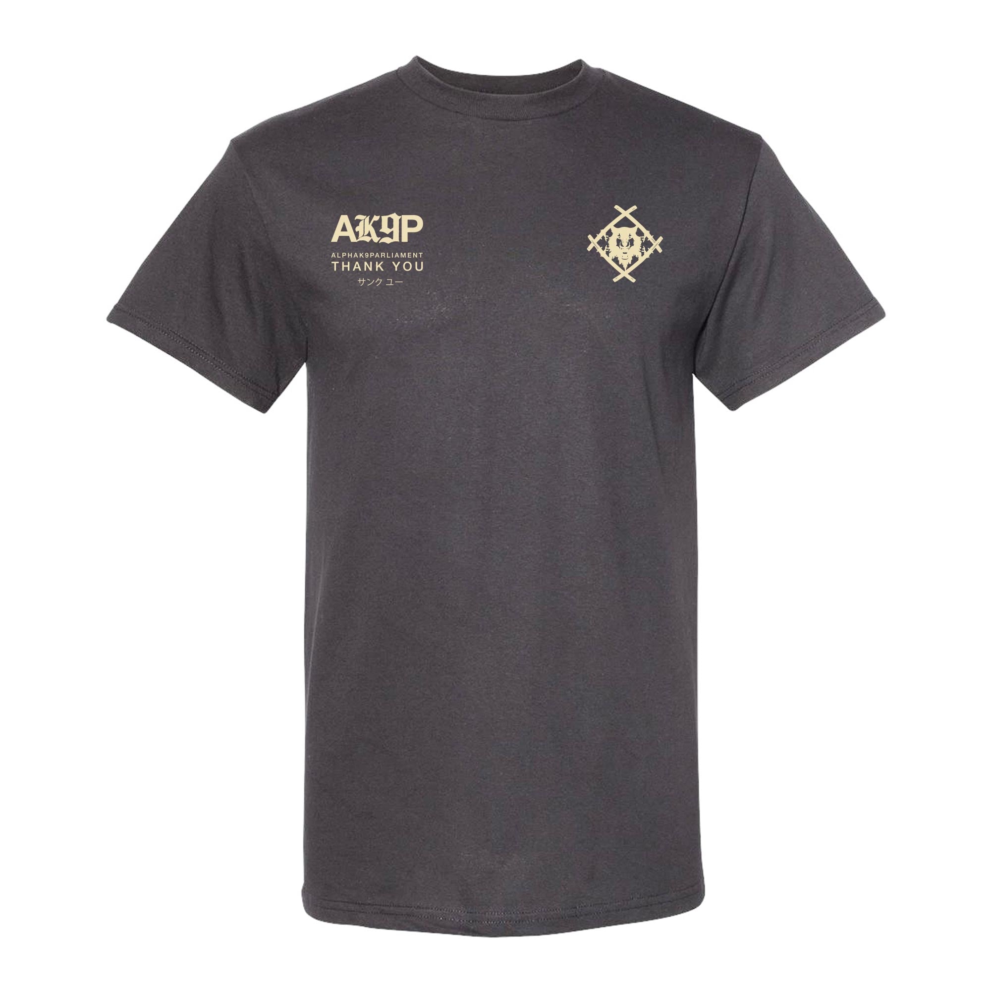 Official AK9P Team Oversized Tee