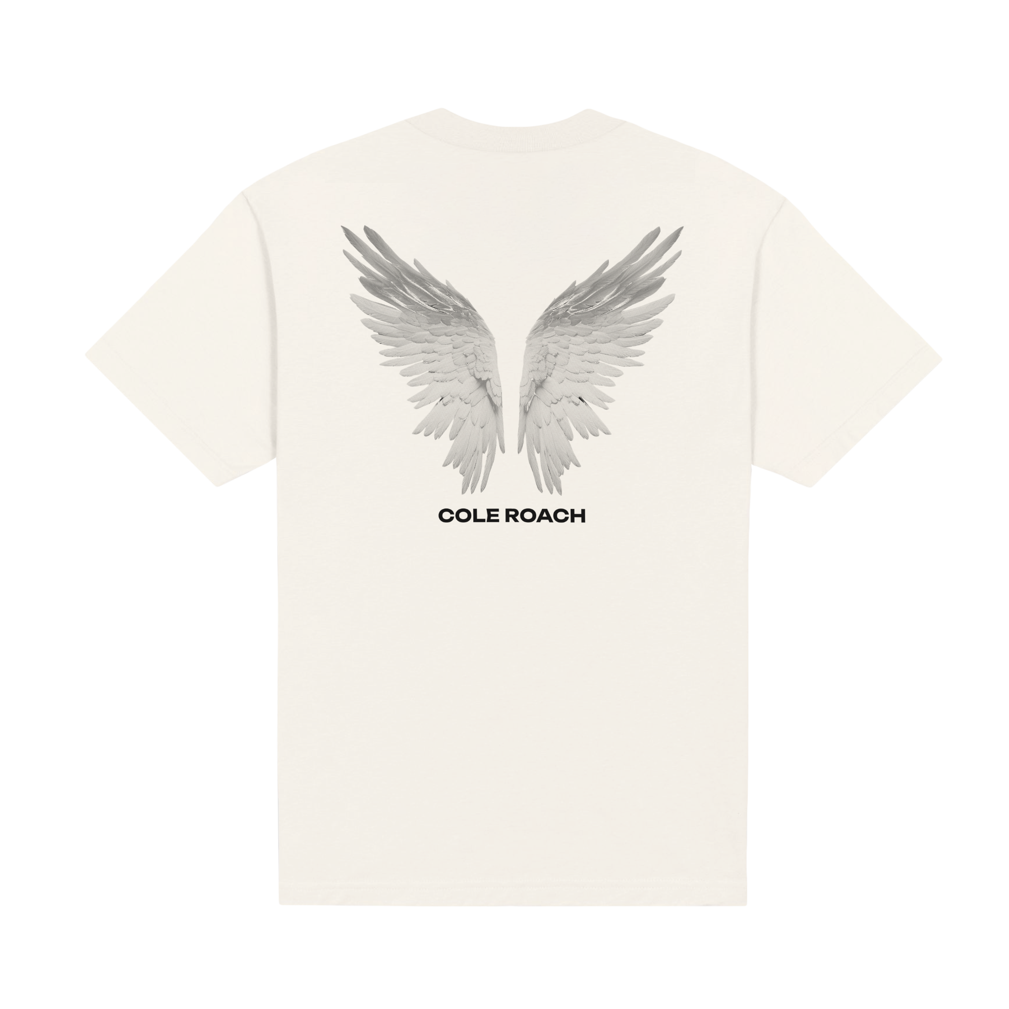Wings Heavyweight Tee