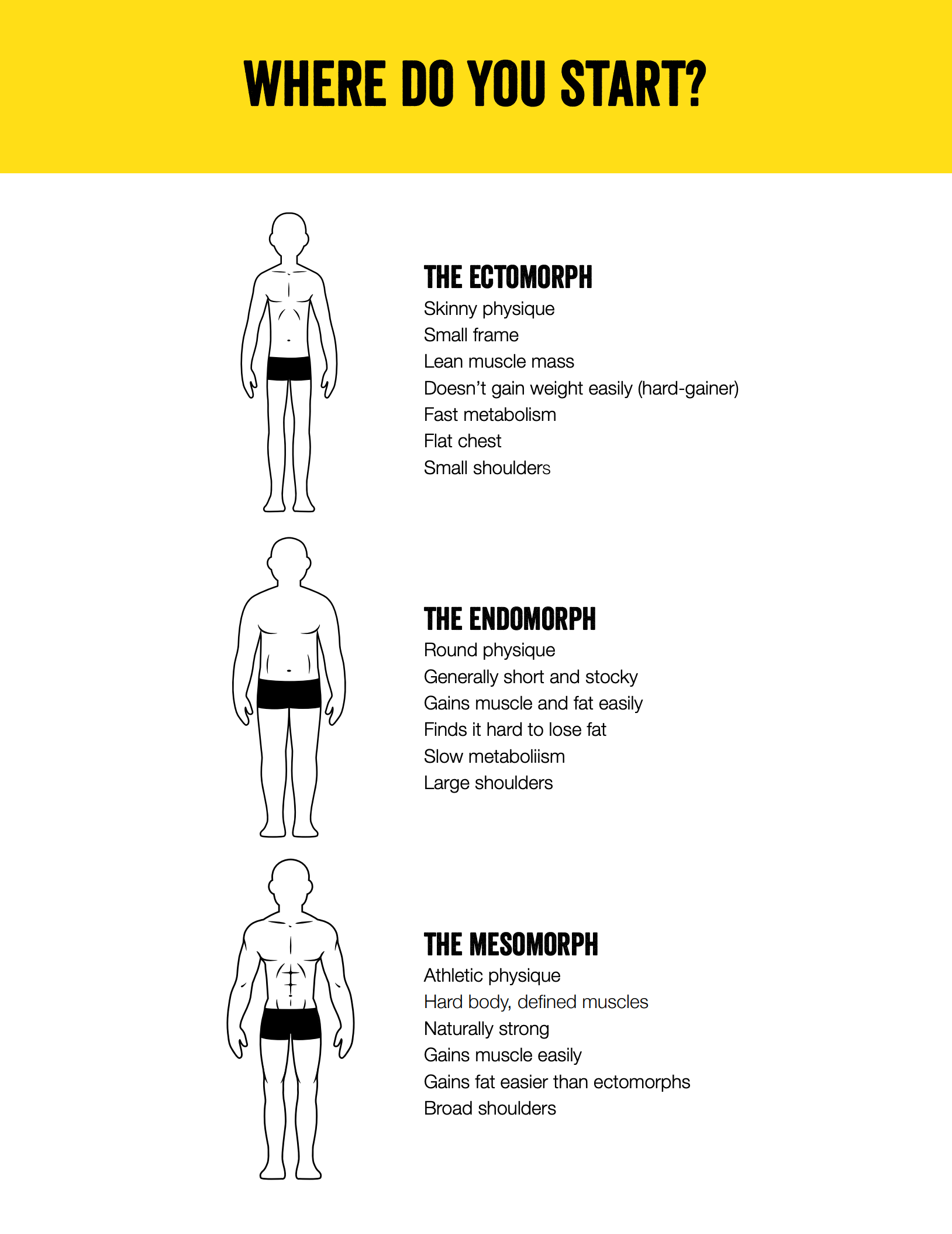 Ectomorph Weight Training Introduction eBook (Digital Download)