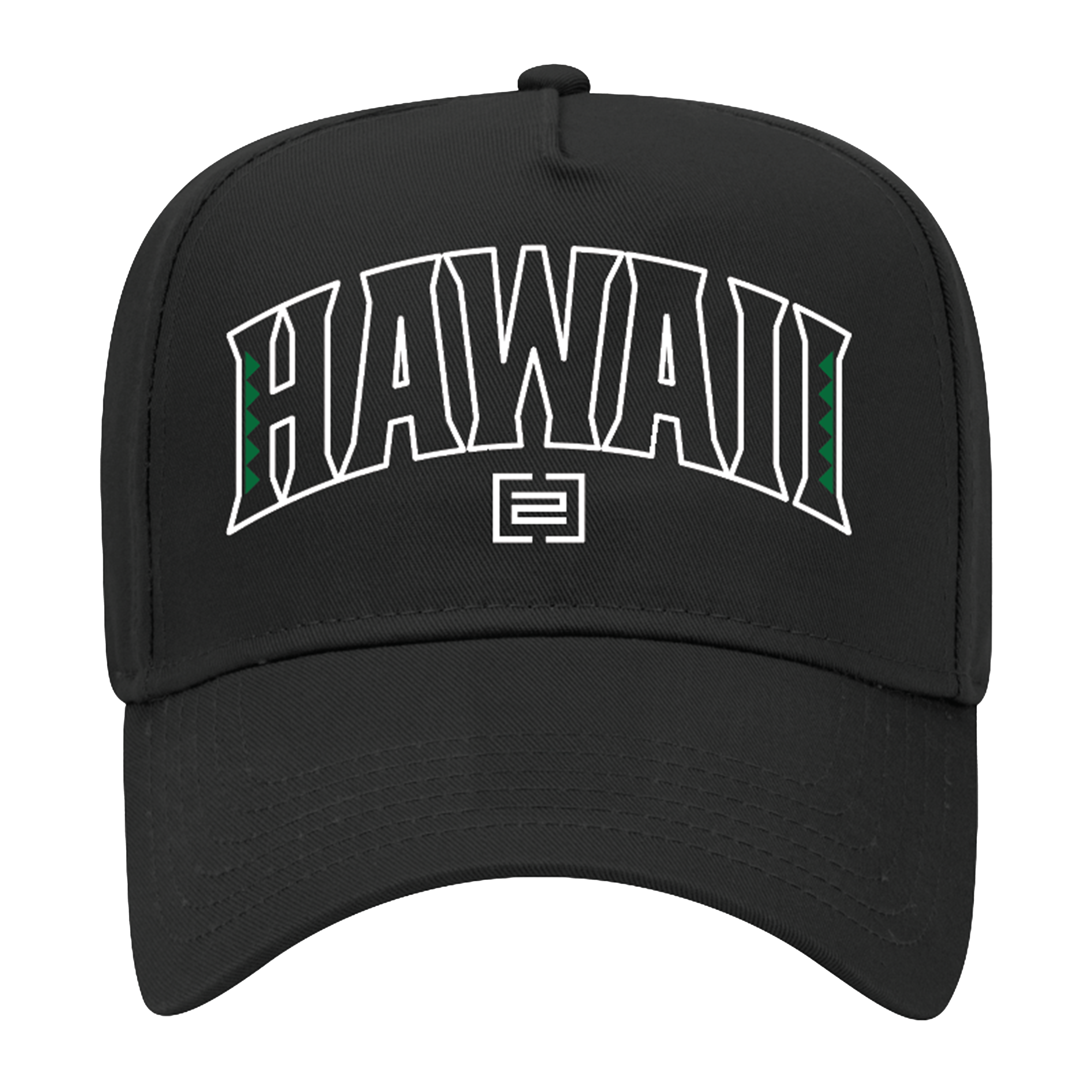 Hawaii Snapback Hat