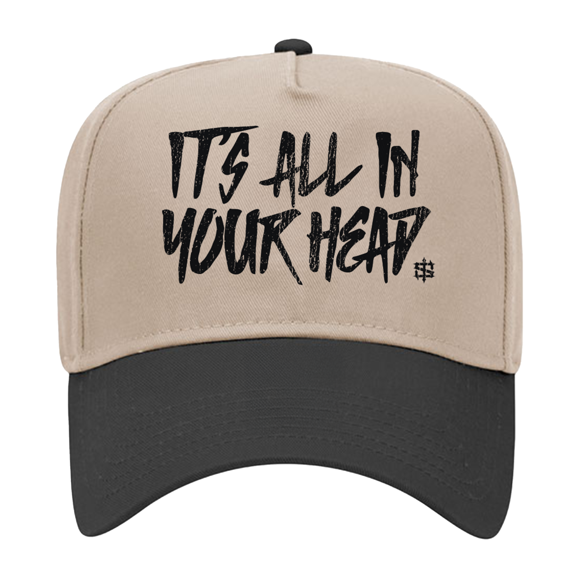 All In Your Head Two Tone Hat