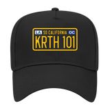 License Plate Snapback Hat