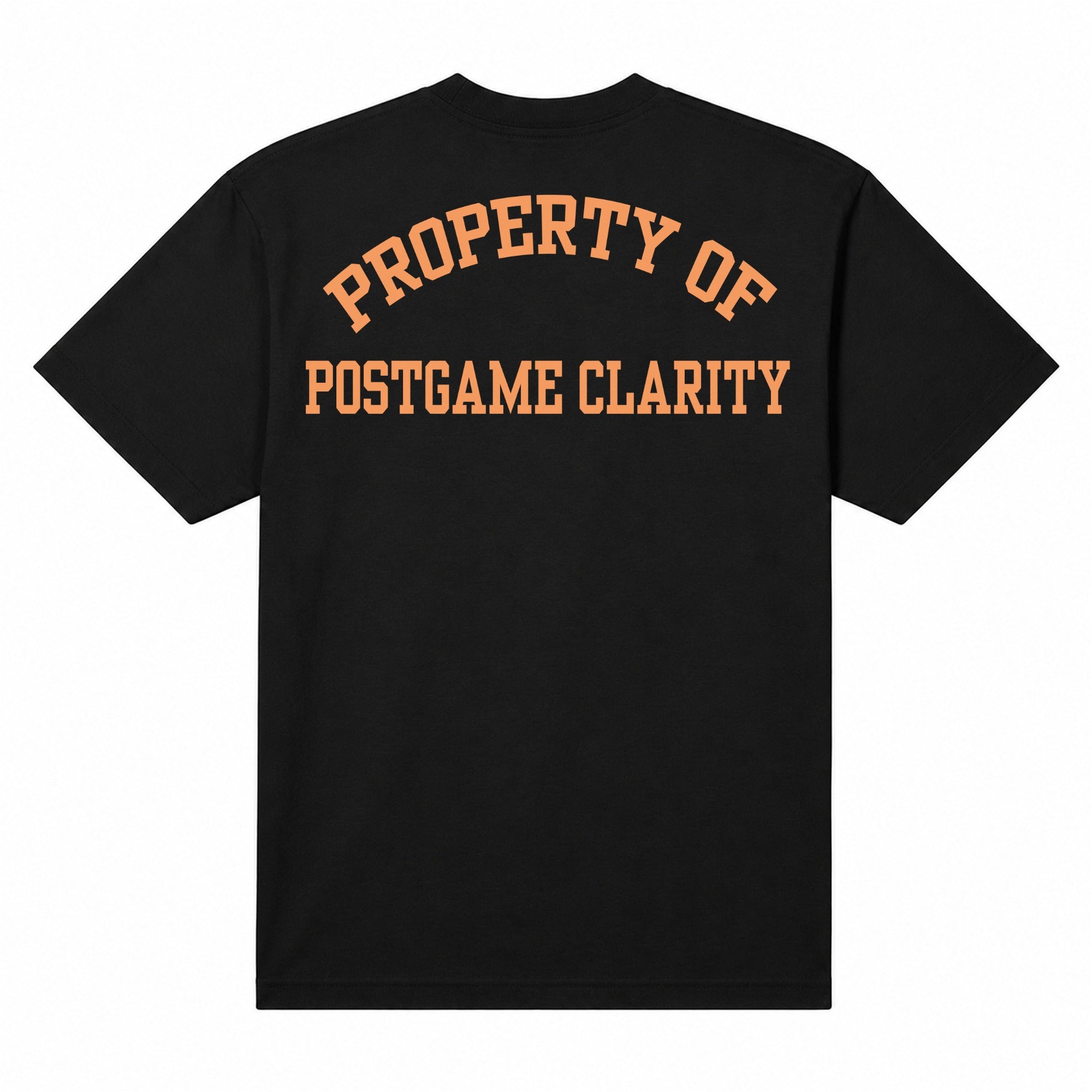 Collegiate Heavyweight Tee — Black, back
