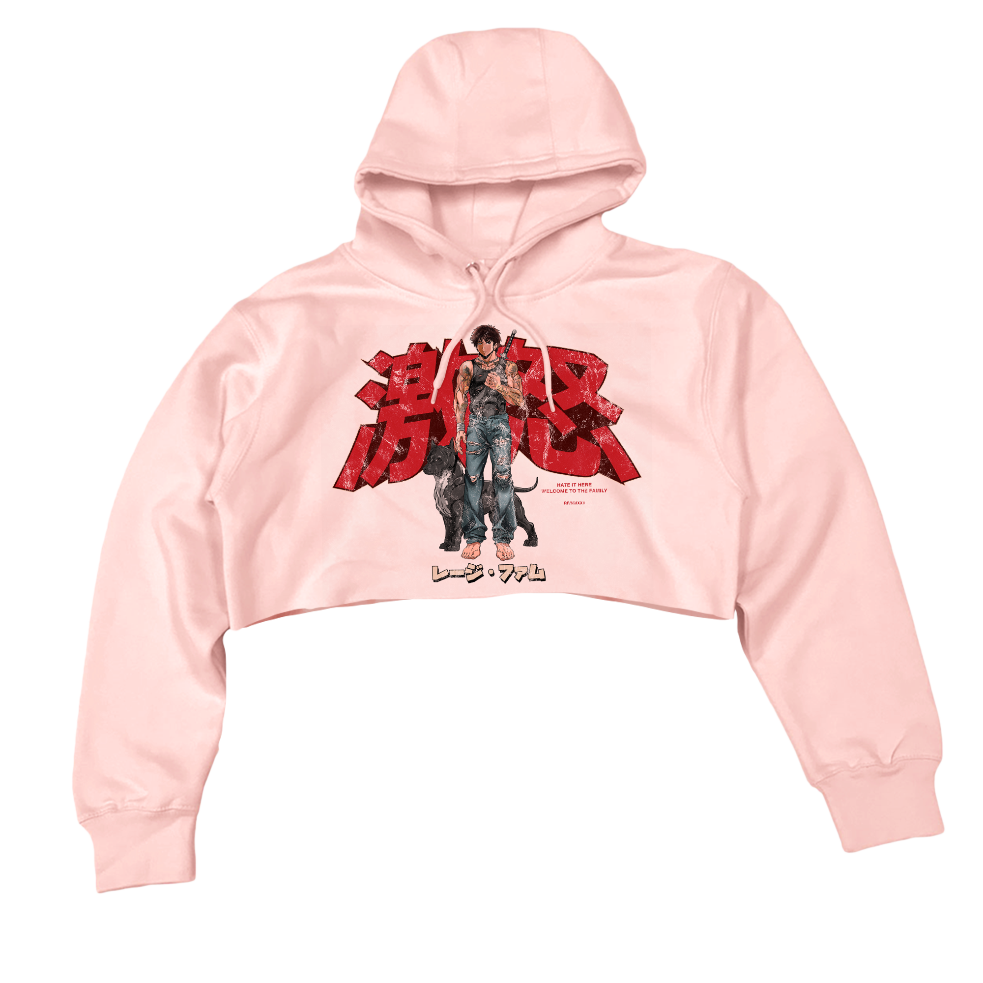 Anime Crop Hoodie