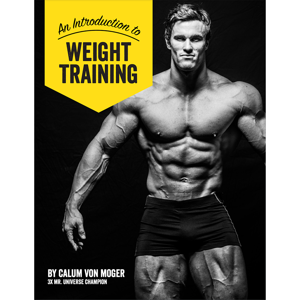 Endomorph outlet weight training