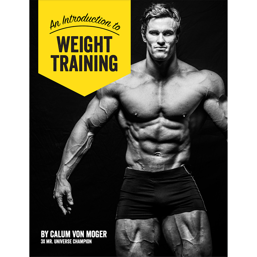 Mesomorph Weight Training Introduction eBook Digital Download MerchLabs