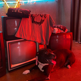 Fangs Vintage Tee (Multiple Colors)